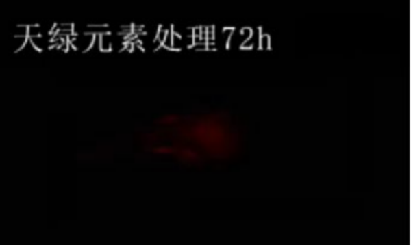 斑馬魚實(shí)驗(yàn)天綠元素處理-72h.png 斑馬魚實(shí)驗(yàn)天綠元素處理-72h.png